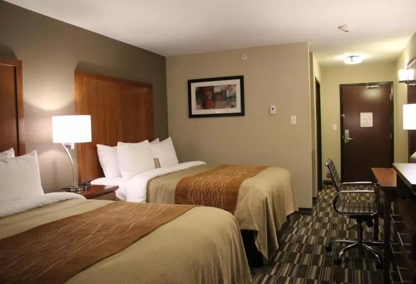 اتاق استاندارد, Comfort Inn & Suites Edmonton International Airport
