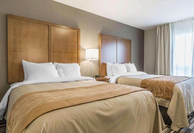 غرفة قياسية, Comfort Inn & Suites Edmonton International Airport