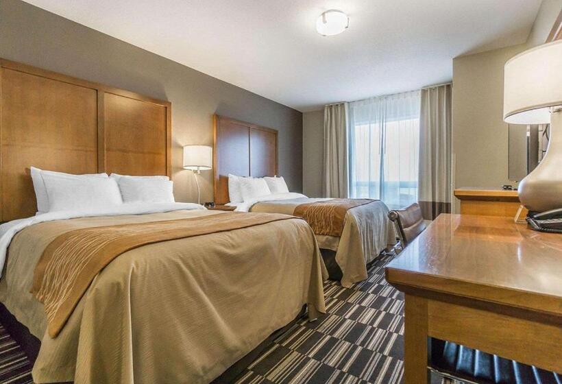 غرفة قياسية, Comfort Inn & Suites Edmonton International Airport