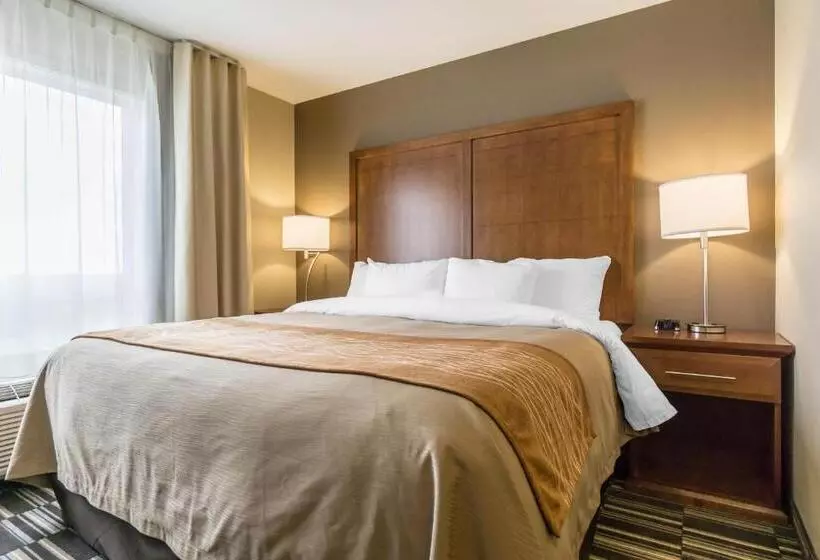سوییت اجرایی, Comfort Inn & Suites Edmonton International Airport