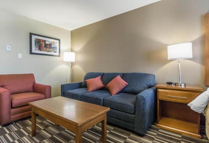 جناح إدارى, Comfort Inn & Suites Edmonton International Airport