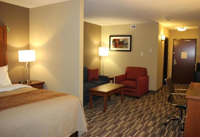 Президентский Люкс, Comfort Inn & Suites Edmonton International Airport