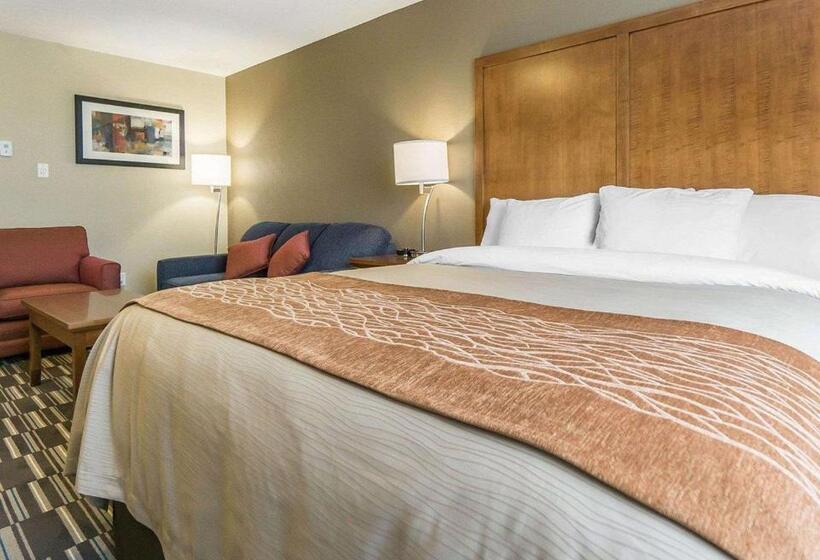 جناح إدارى, Comfort Inn & Suites Edmonton International Airport