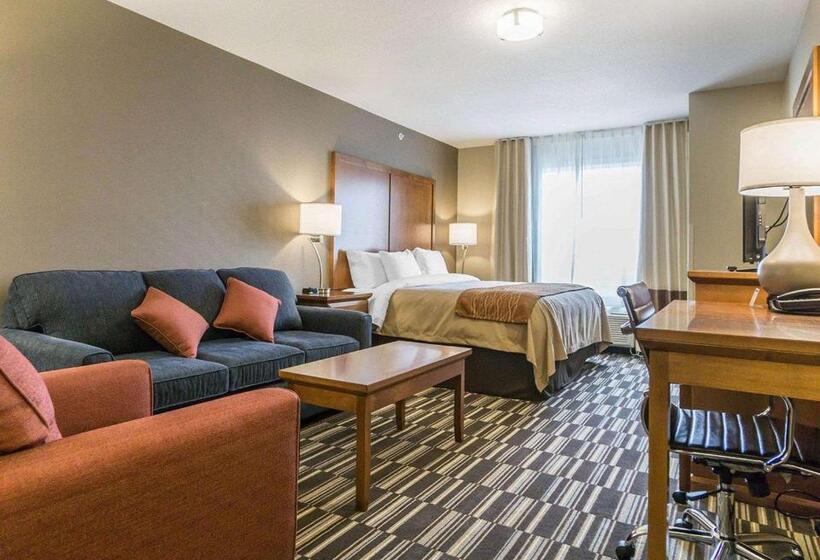 Президентский Люкс, Comfort Inn & Suites Edmonton International Airport