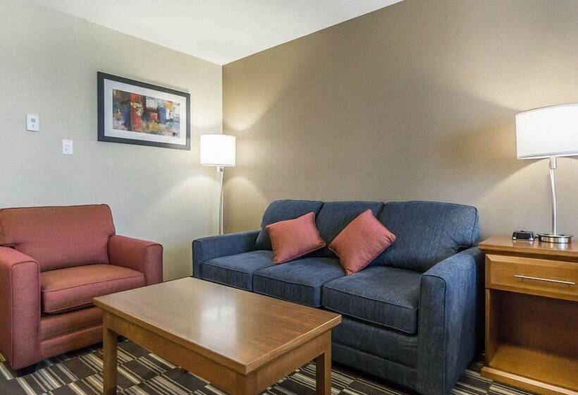 جناح إدارى, Comfort Inn & Suites Edmonton International Airport