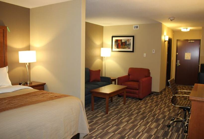 Президентский Люкс, Comfort Inn & Suites Edmonton International Airport