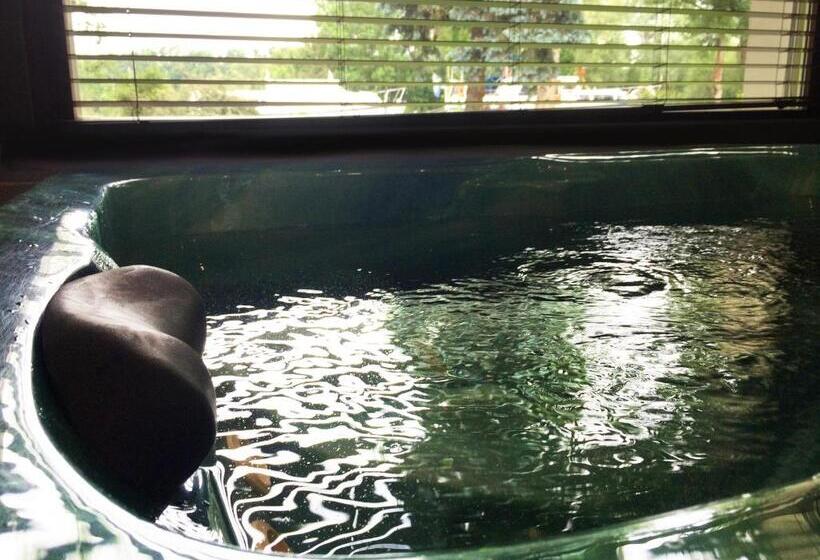 غرفة قياسية مزودة بجاكوزى, La Vinaigrerie Logis