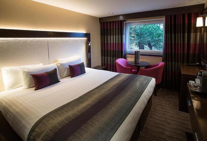 클럽 룸 킹침대, Mondo