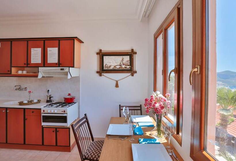 شقة غرفة واحدة مطلة على البحر, Samira Resort Hotel Aparts & Villas