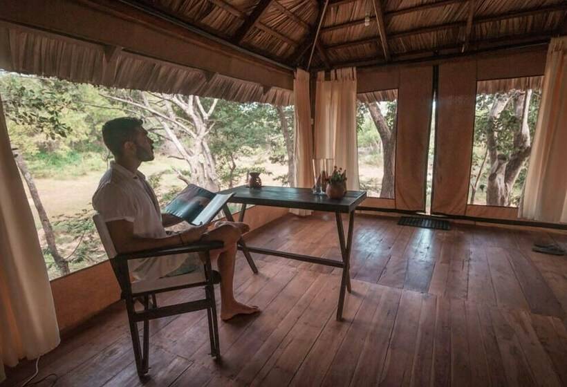 Deluxe Tent, Yala Safari Camping