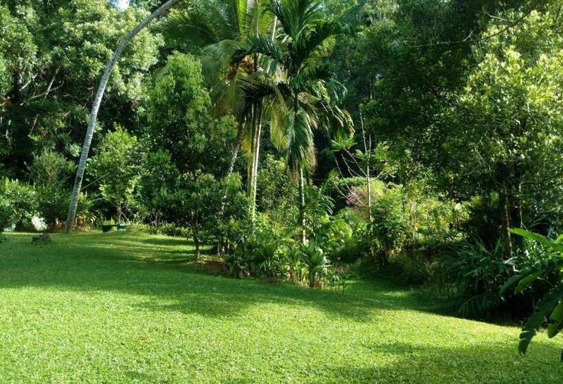 Suite, Sweet Cinnamon Kandy