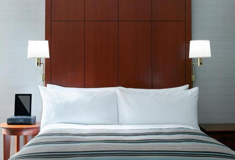 스탠다드 룸, Central Loop