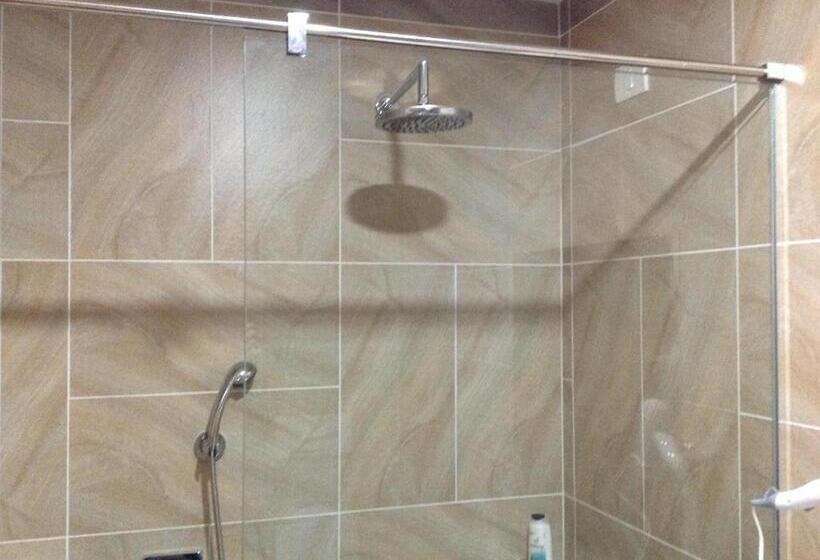 חדר סטנדרט, Green