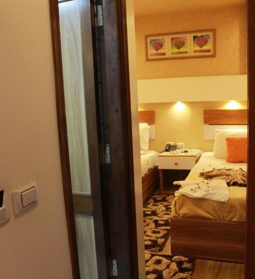 اتاق استاندارد یک نفره, Osiris Hotel Cairo