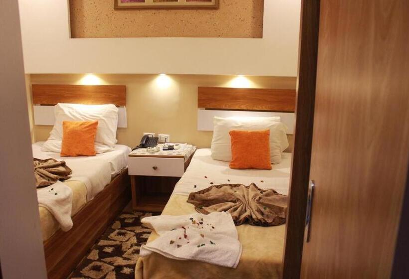 اتاق استاندارد یک نفره, Osiris Hotel Cairo
