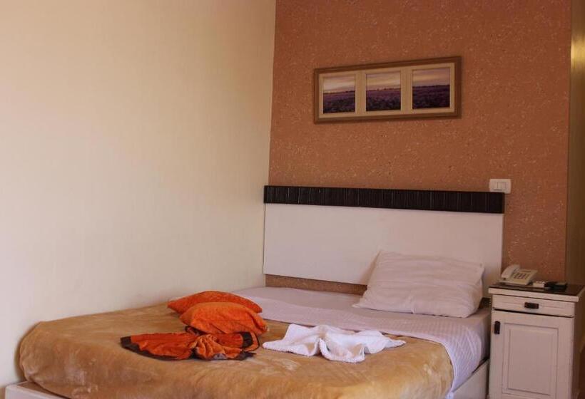 اتاق استاندارد یک نفره, Osiris Hotel Cairo