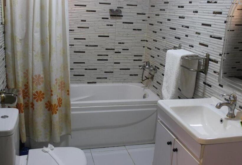 اتاق استاندارد یک نفره, Osiris Hotel Cairo