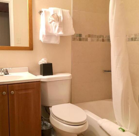 Номер Стандартный Кровать Куин, Estes Mountain Inn