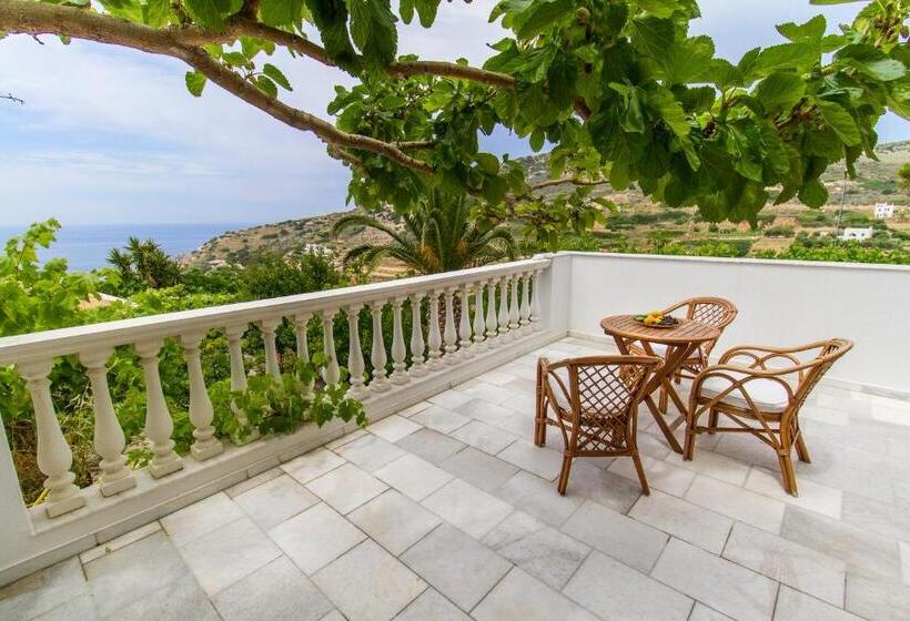 غرفة قياسية, Petrino