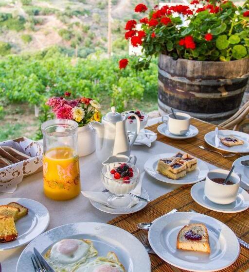 استوديو إدارى, Petrino