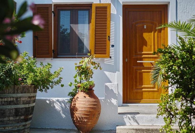 إستوديو قياسى سرير كينج, Petrino