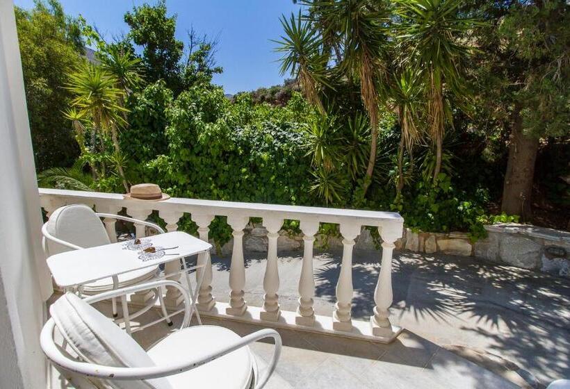 غرفة أساسية, Petrino