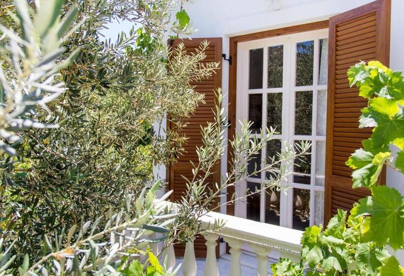 غرفة أساسية, Petrino