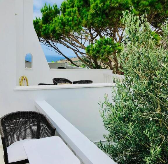 غرفة أساسية, Petrino