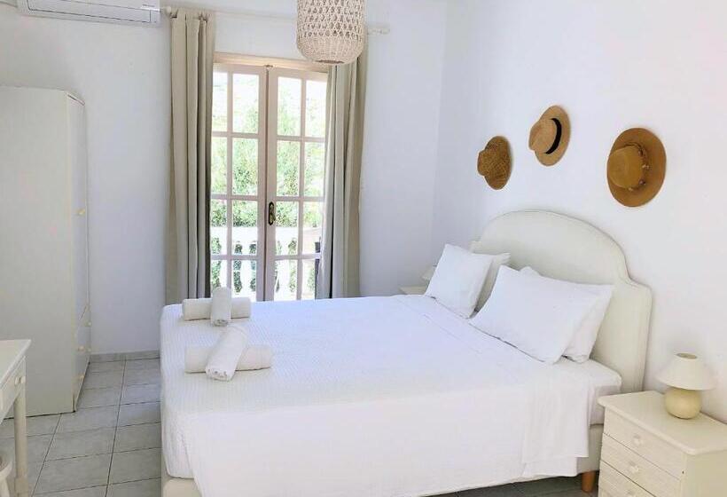 غرفة أساسية, Petrino