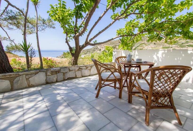 إستوديو سوبيريور, Petrino