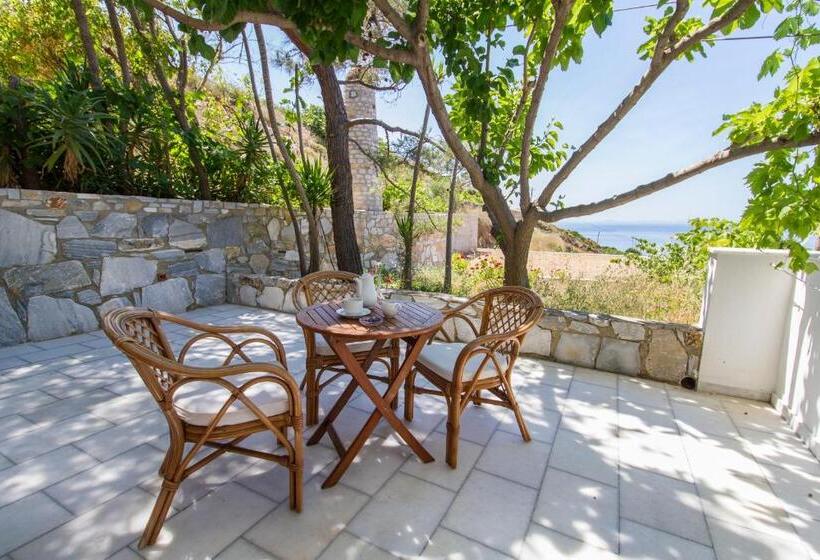 إستوديو سوبيريور, Petrino