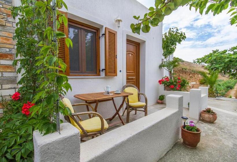 غرفة كومفورت ثلاثية, Petrino