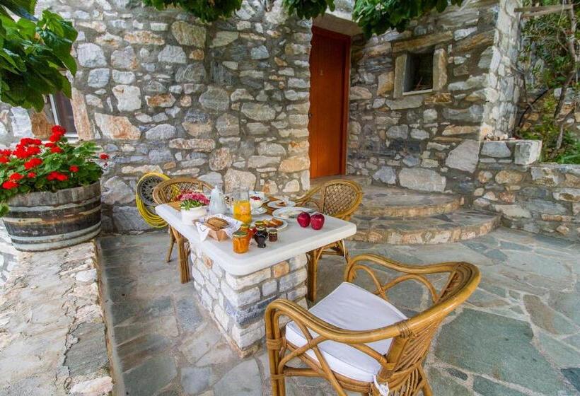 استوديو إدارى, Petrino