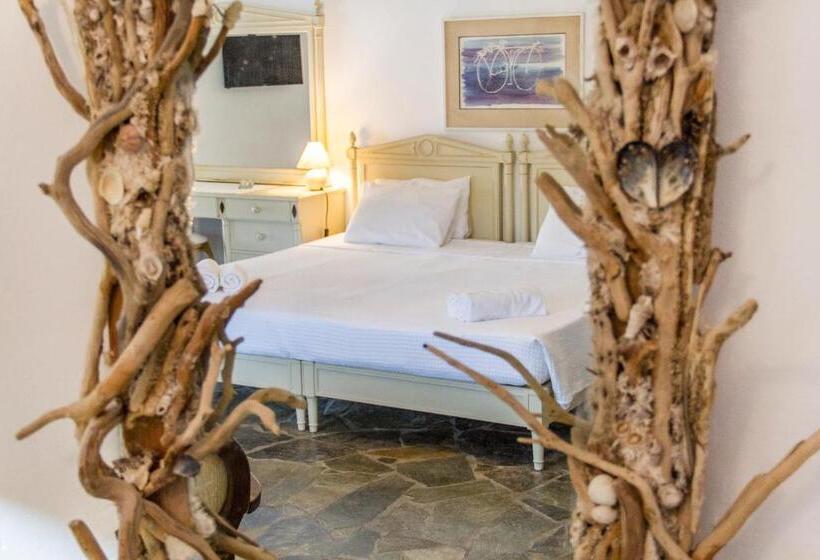 استوديو إدارى, Petrino