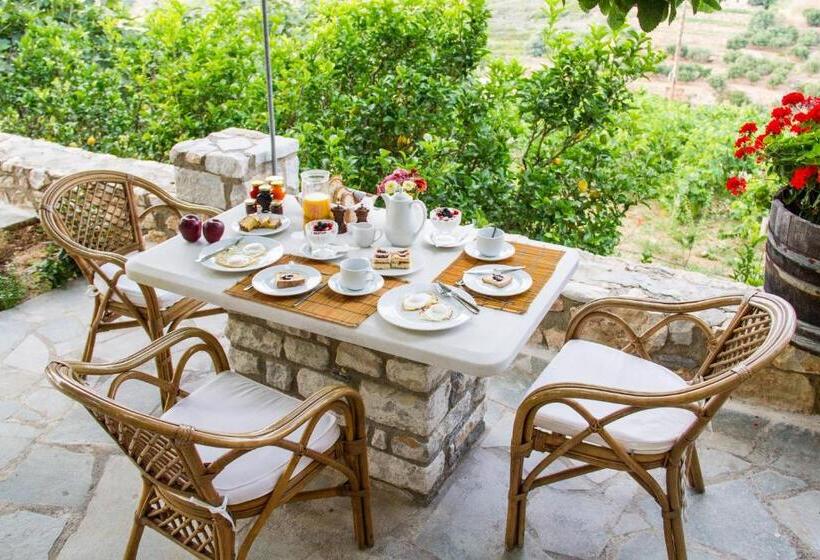 استوديو إدارى, Petrino