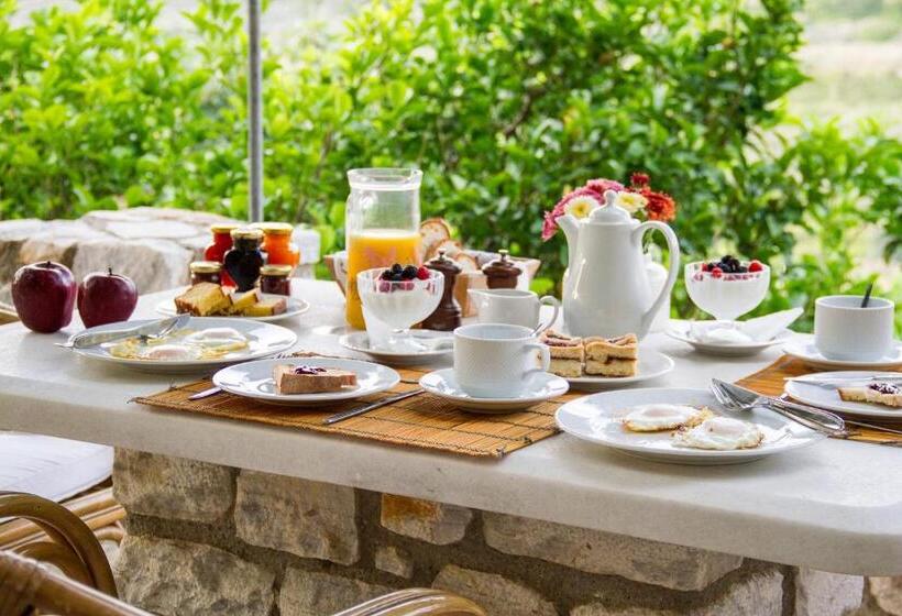 استوديو إدارى, Petrino