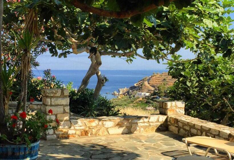 استوديو إدارى, Petrino