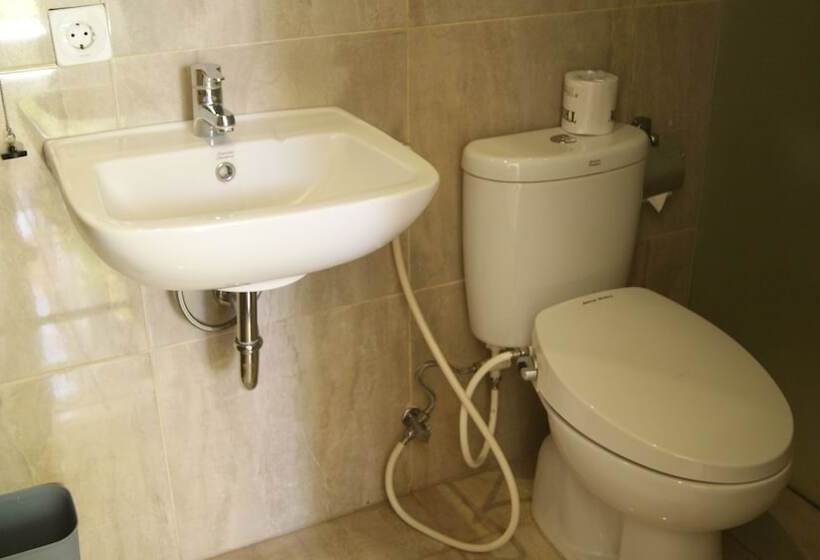 スタンダードルーム, Sugiras Living