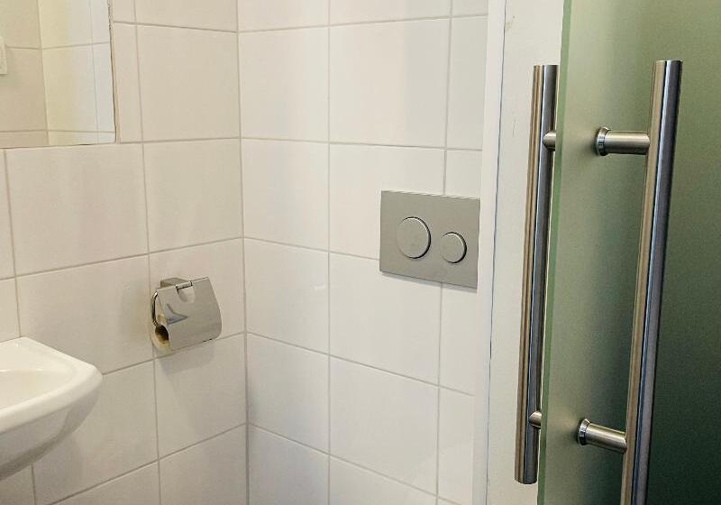 غرفة قياسية فردية, Birka