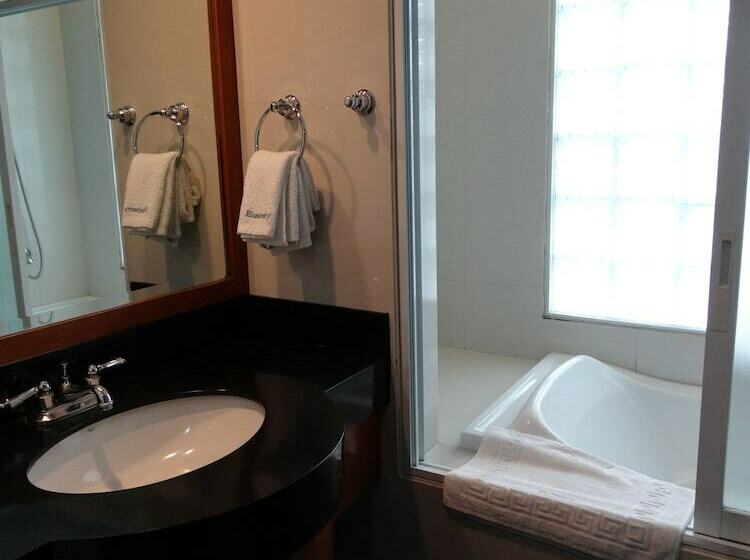 اتاق استاندارد یک نفره, Blueberry Tourist