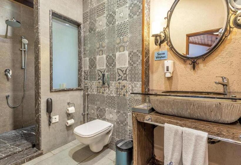 منزل غرفة نوم واحدة, The Baga Beach Resort