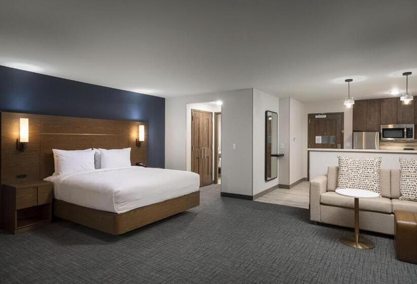 استوديو إدارى, Residence Inn By Marriott Denver Aurora