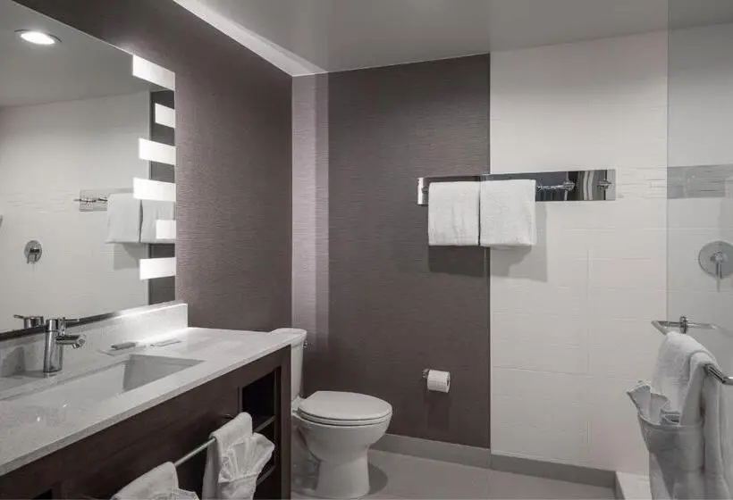 Executive-studio, Residence Inn By Marriott Denver Aurora