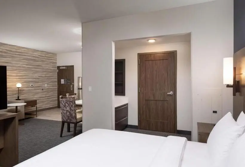 Standard-studio King-vuode, Residence Inn By Marriott Denver Aurora