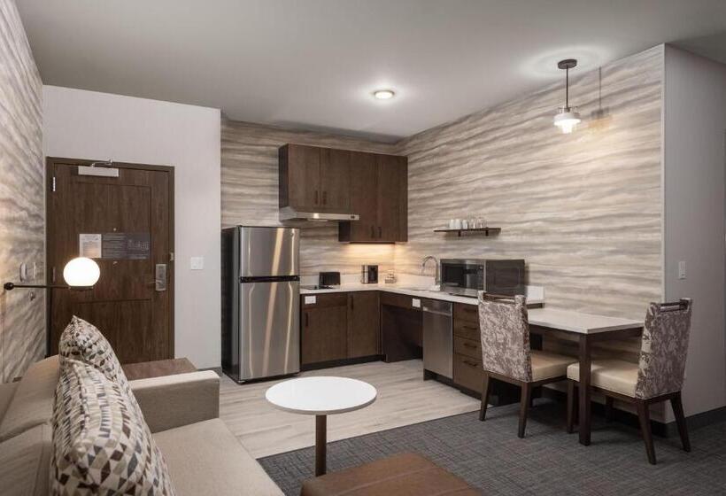 带大床的标准工作室, Residence Inn By Marriott Denver Aurora