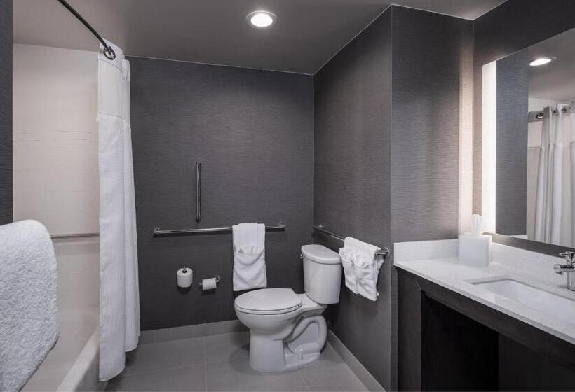 إستوديو قياسى سرير كينج, Residence Inn By Marriott Denver Aurora