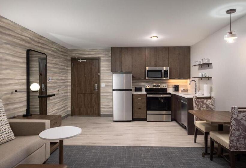 带大床的套房, Residence Inn By Marriott Denver Aurora