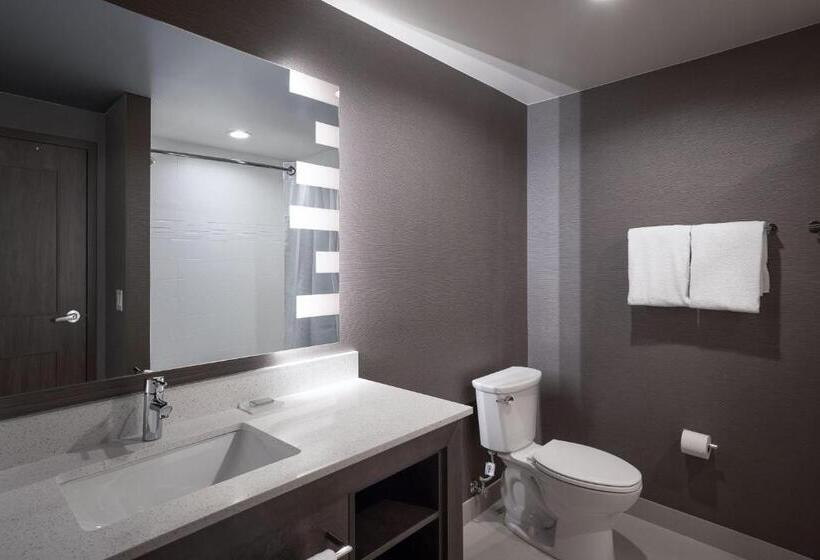 جناح سرير كينج, Residence Inn By Marriott Denver Aurora