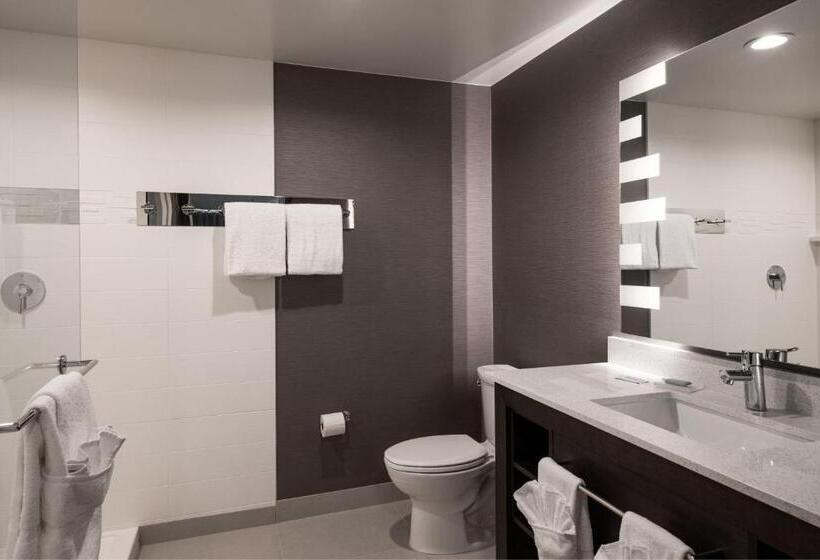 带大床的套房, Residence Inn By Marriott Denver Aurora