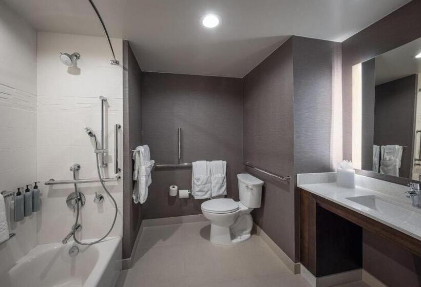 جناح سرير ملكى, Residence Inn By Marriott Denver Aurora